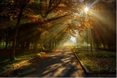 Парк культури і відпочинку імені Михайла Чекмана